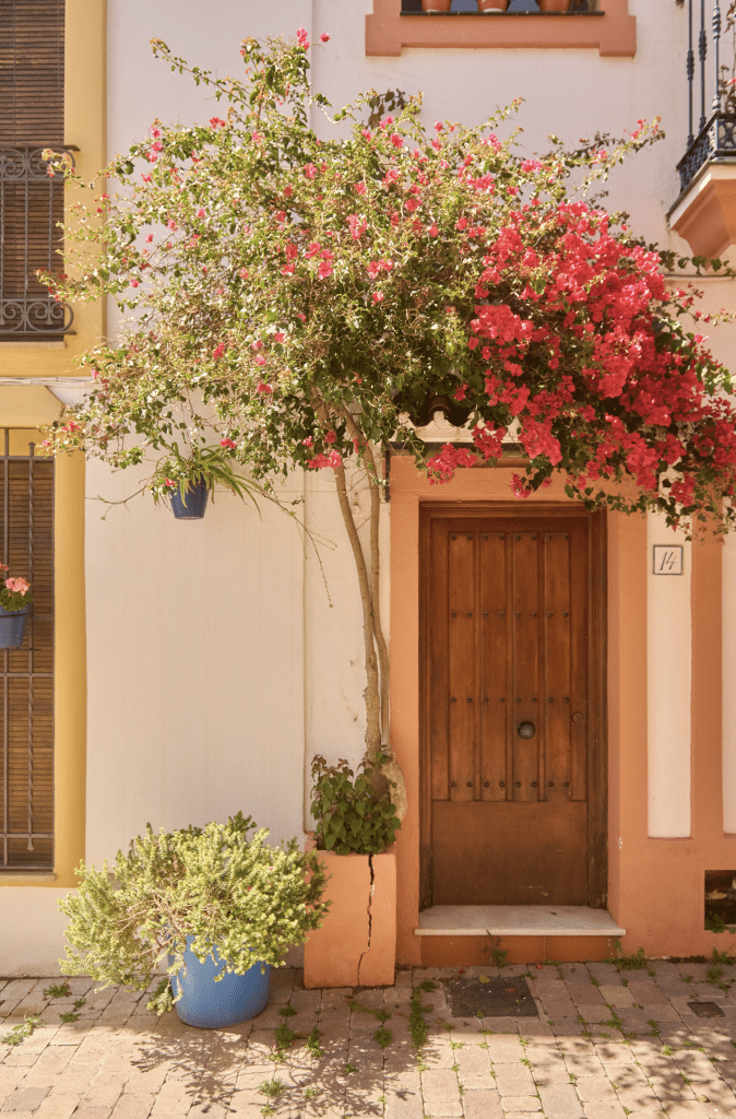 Hotel El Pilar en Estepona