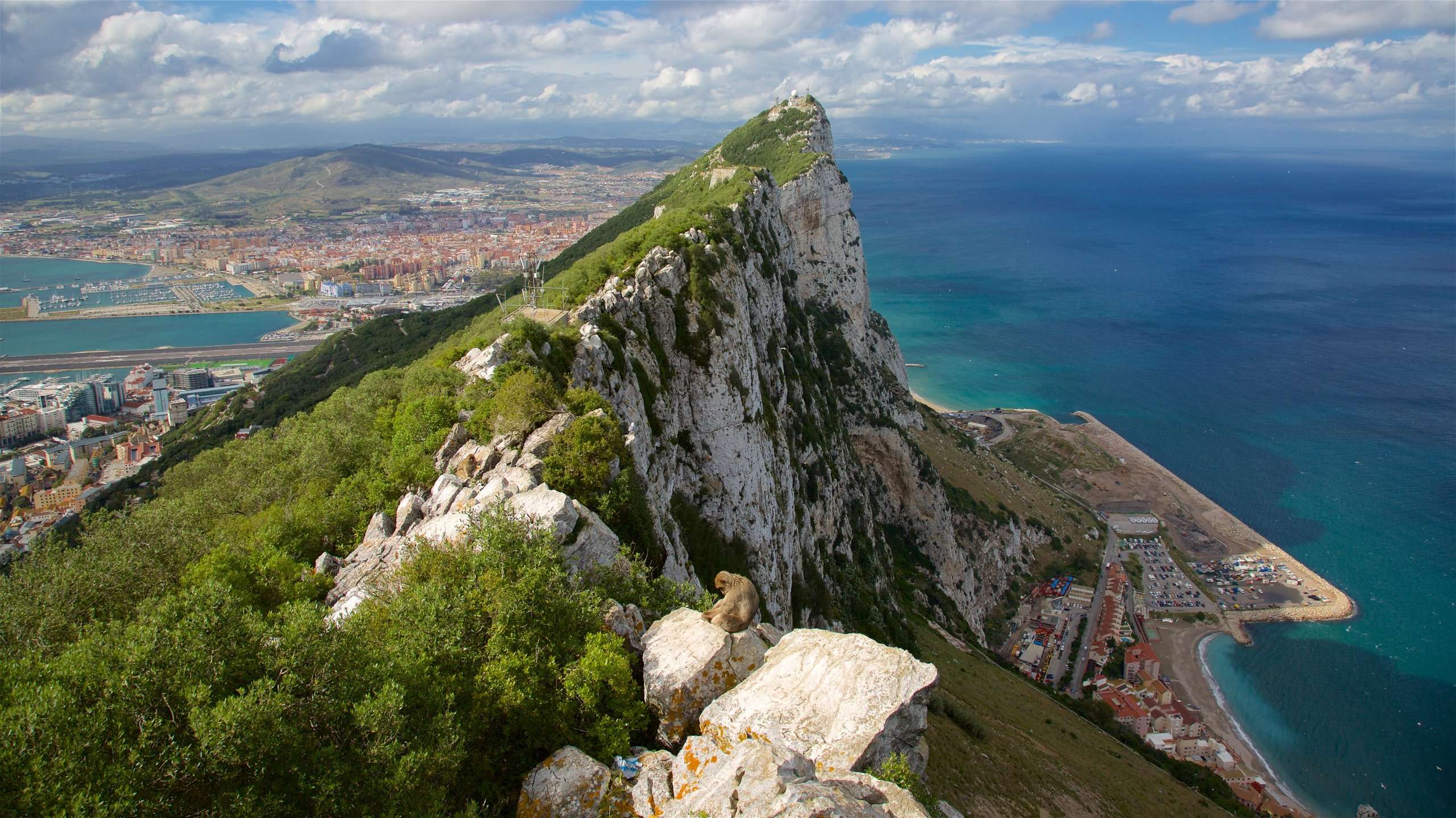 Exkursionen von Estepona nach Gibraltar